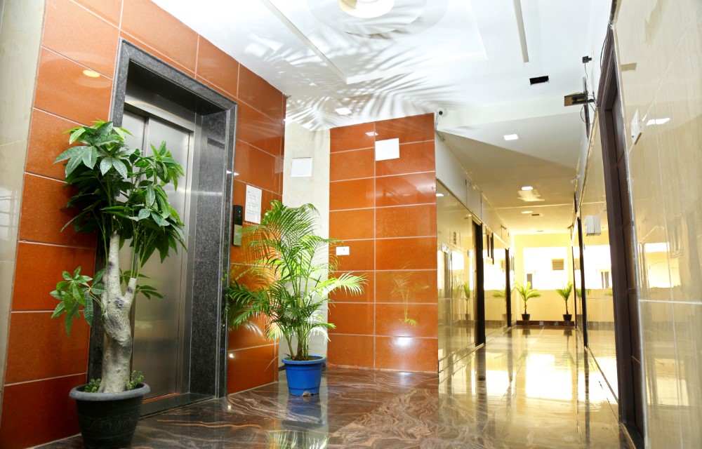 Sustainable Tourism: Minimizing Your Environmental Footprint